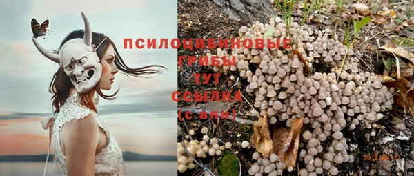 трава Алексеевка