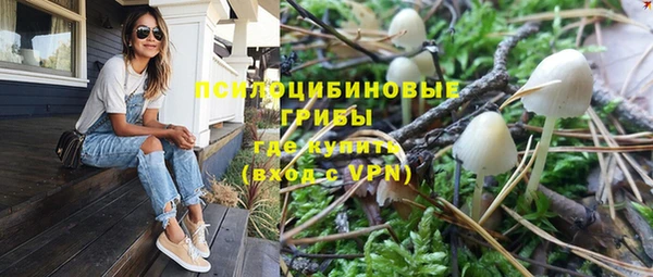MESCALINE Алзамай